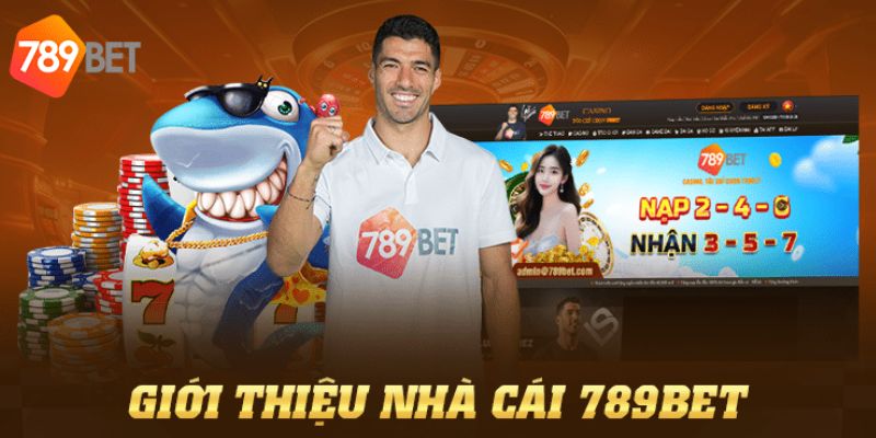 Link 789BET Tổng quan về 789BET
