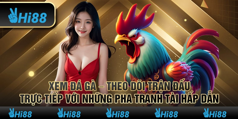 Xem đá gà – Theo dõi trận đấu trực tiếp với những pha tranh tài hấp dẫn
