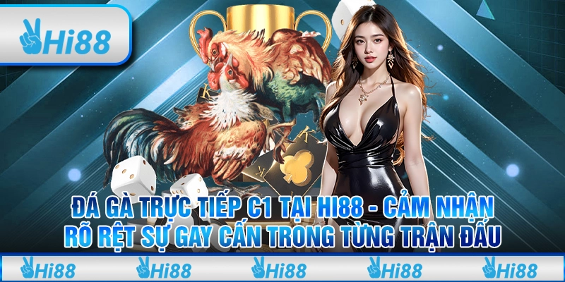 Đá Gà Trực Tiếp C1 Tại Hi88 - Cảm Nhận Rõ Rệt Sự Gay Cấn Trong Từng Trận Đấu