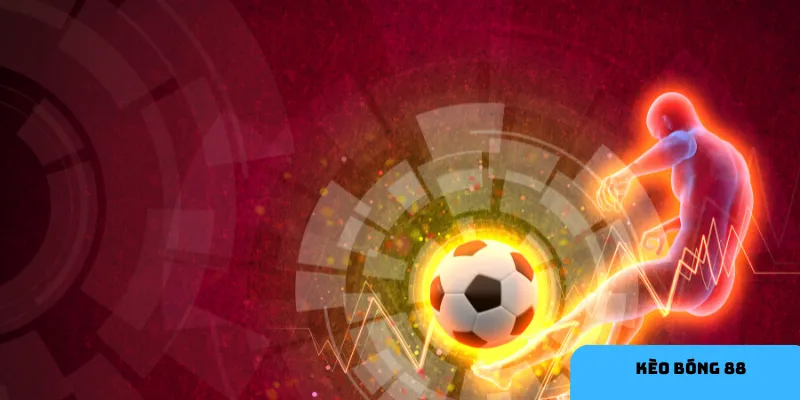 Phân tích thông tin để tối ưu chiến lược chơi