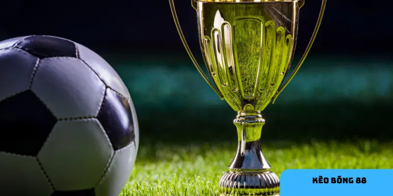 Tỷ lệ cược minh bạch và đáng tin cậy