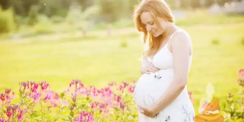 bí kíp đánh đề dựa trên những giấc mơ có bầu