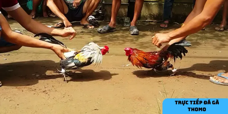 Truyền thống và đam mê.