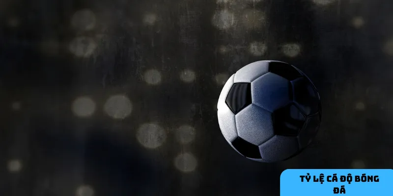 Theo dõi biến động kèo giúp nhận diện xu hướng đặt cược.