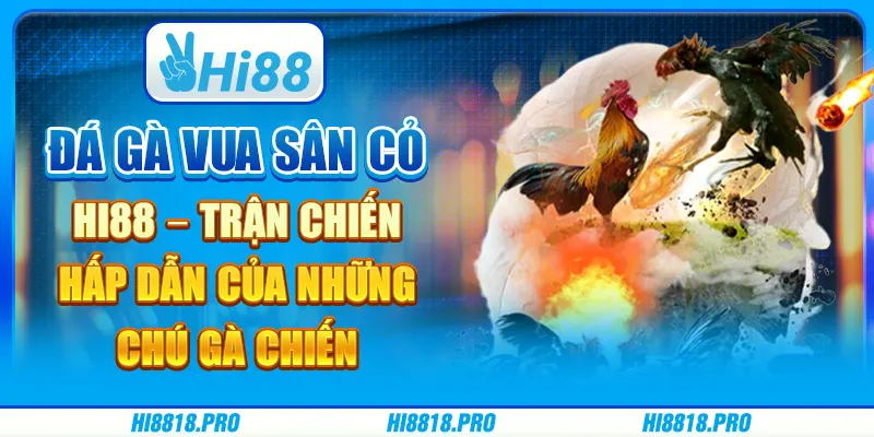 Đá gà vua sân cỏ hi88 – trận chiến hấp dẫn của những chú gà chiến