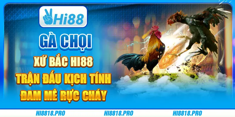 Gà Chọi Xứ Bắc Hi88 - Trận đấu kịch tính, Đam Mê Rực Cháy