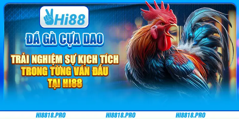Đá Gà Cựa Dao - Trải Nghiệm Sự Kịch Tích Trong Từng Ván Đấu Tại Hi88.