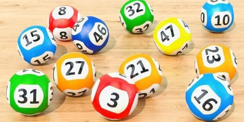 Bạch thủ lô là gì?