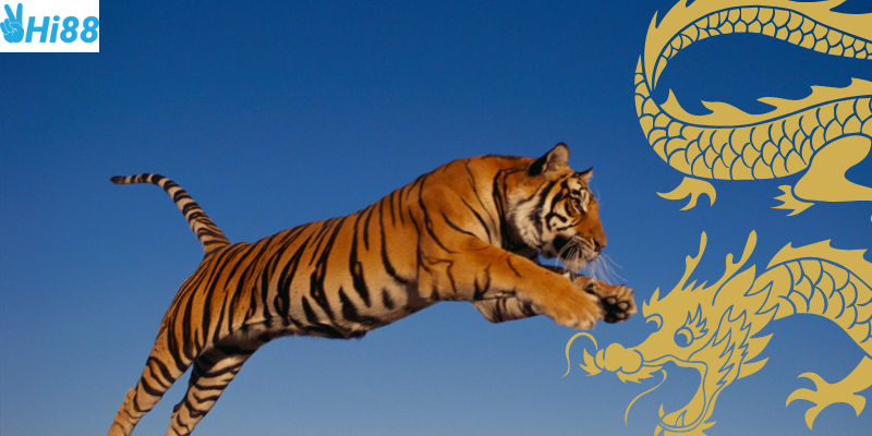 Chơi rồng hổ 99 tại nhà cái Hi88