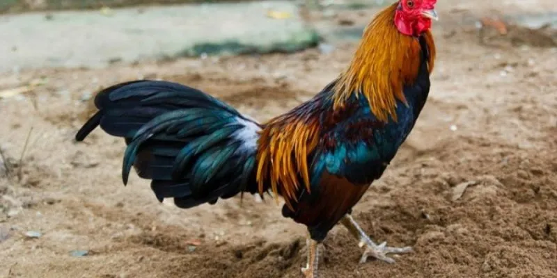 Hệ thống bảo mật hiện đại, đảm bảo thông tin và giao dịch an toàn.