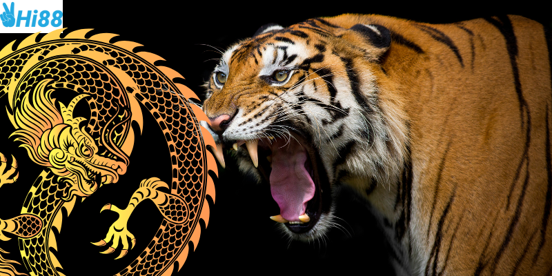 Giao diện chuyên nghiệp và tỷ lệ thắng hấp dẫn