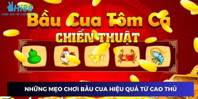 Mẹo chơi bầu cua từ các cao thủ