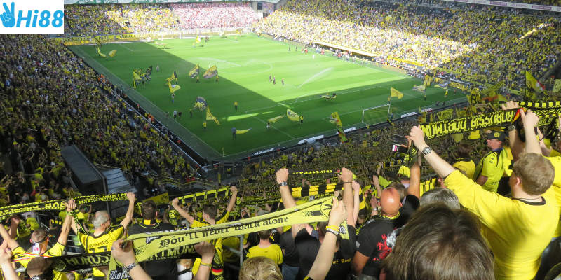 Quản lý vốn thông minh và phân tích phong độ