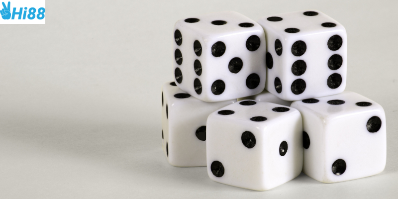 Tham gia đặt cược và thắng lớn mỗi ngày cùng nhà cái