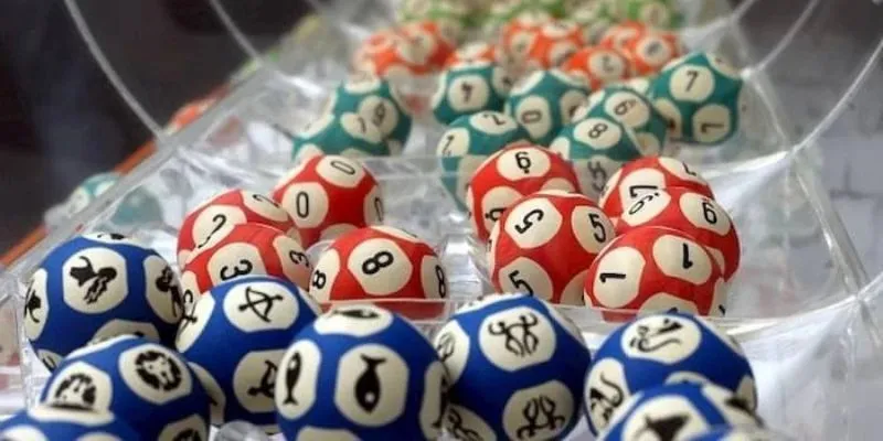 Hướng dẫn tham gia và các loại cược phổ biến.