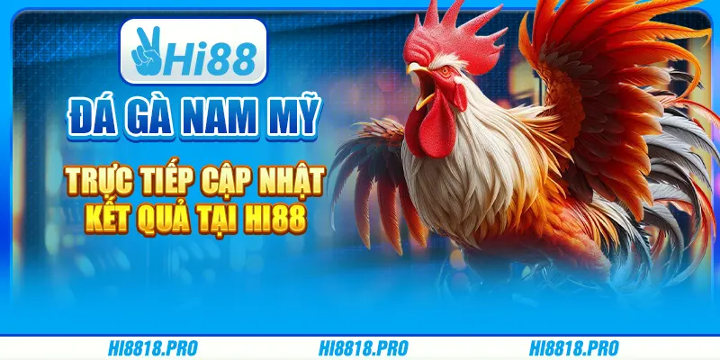 Đá Gà Nam Mỹ Trực Tiếp Cập Nhật Kết Quả Tại Hi88