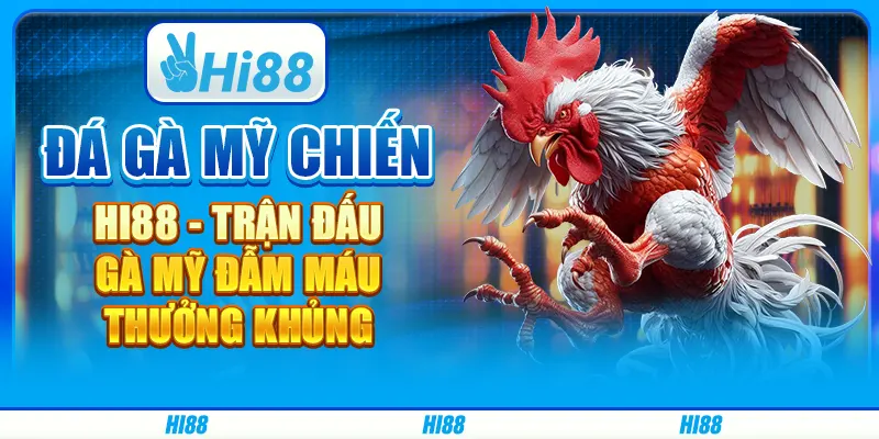 Đá Gà Mỹ Chiến Hi88 - Trận Đấu Gà Mỹ Đẫm Máu, Thưởng Khủng