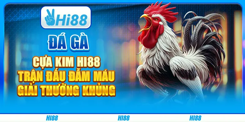 Đá Gà Cựa Kim Hi88 - Trận Đấu Đẫm Máu, Giải Thưởng Khủng