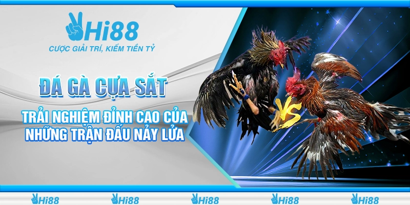 đá gà cựa sắt