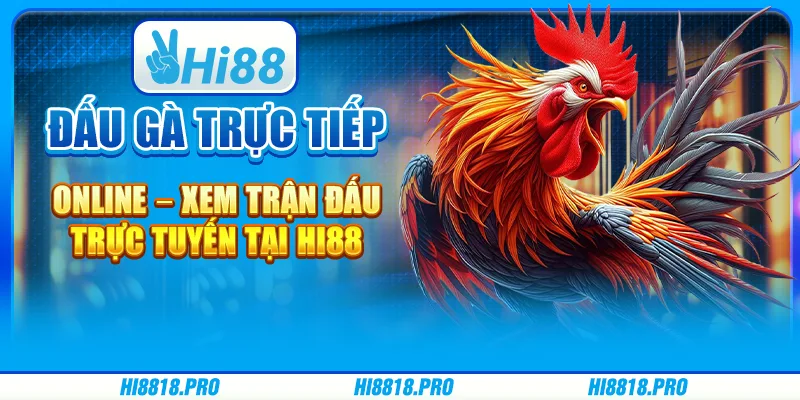 Đấu Gà Trực Tiếp Online – Xem Trận Đấu Trực Tuyến Tại Hi88