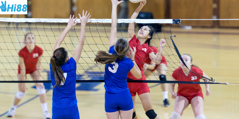 Cập nhật tin tức bóng chuyền nữ từ Hi88