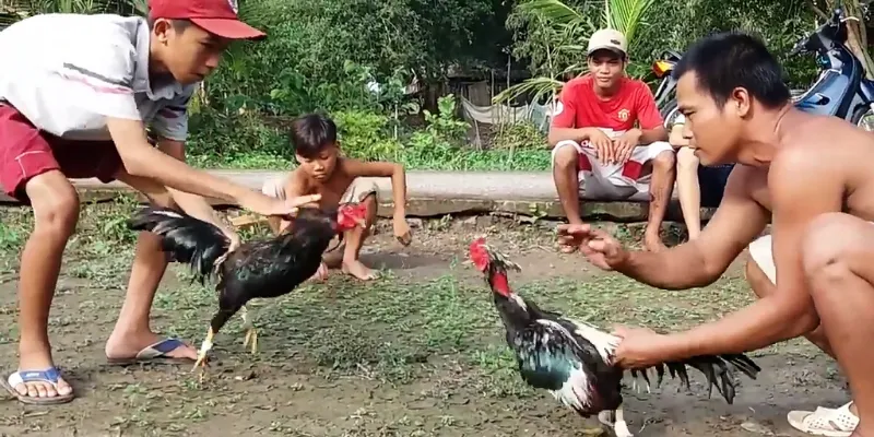 Ra đòn thông minh