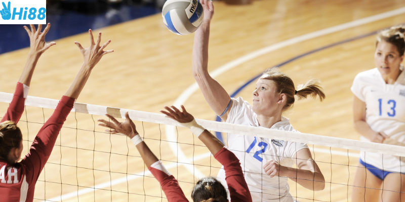 Độ chính xác cao và hỗ trợ đặt cược