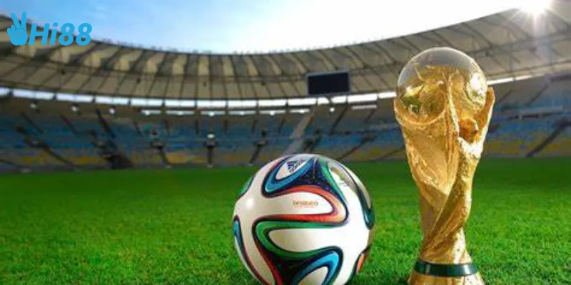 Mẹo đặt cược bóng đá World Cup phổ biến